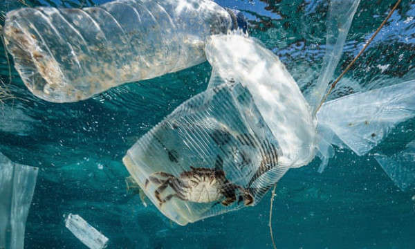 Rác thải nhựa sắp nhiều hơn cá, thế giới đối diện khủng hoảng môi trường biển - 3