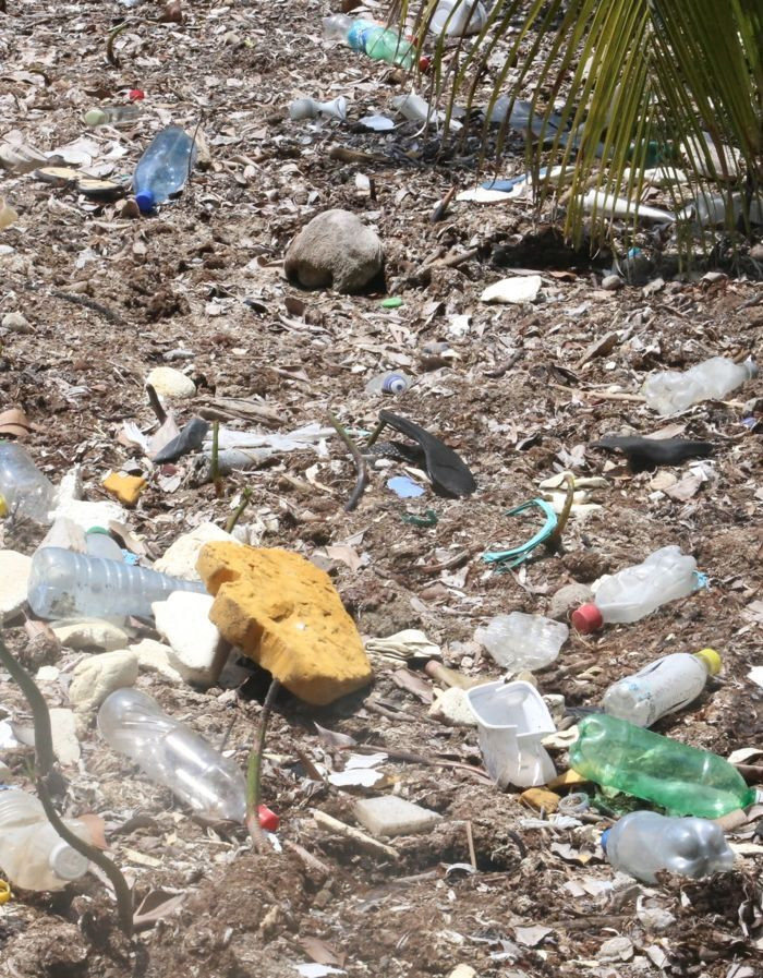 Rác thải nhựa sắp nhiều hơn cá, thế giới đối diện khủng hoảng môi trường biển - 1