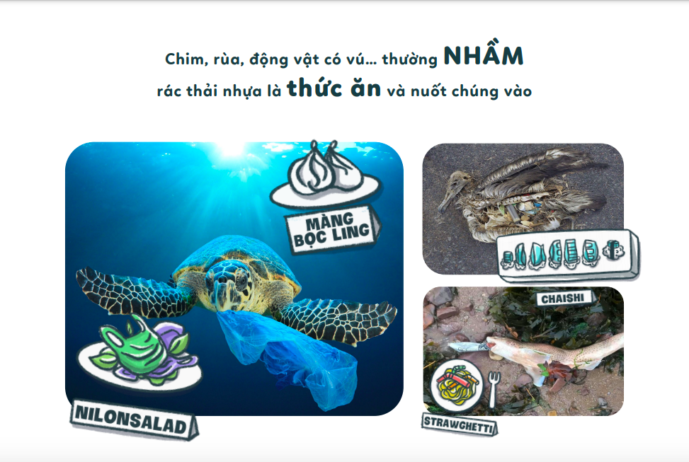 Cô gái Hà Thành và ý tưởng 'nhà hàng nhựa sản' thay thế nhà hàng hải sản - 13