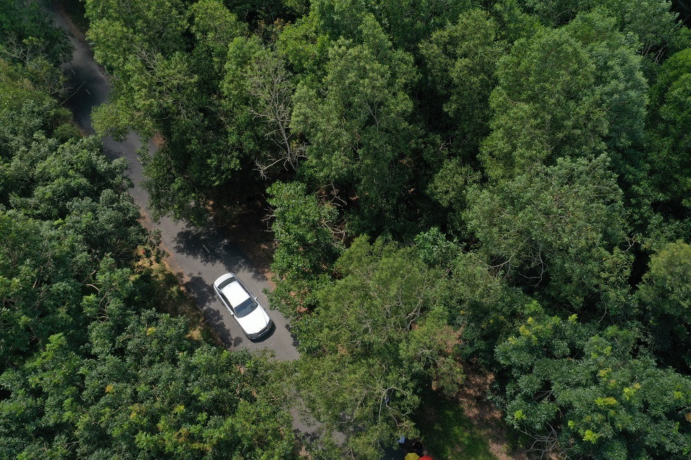 Siêu xe Rolls Royce New Ghost  ẩn hiện trong những khu rừng ở Vũng Tàu - 1