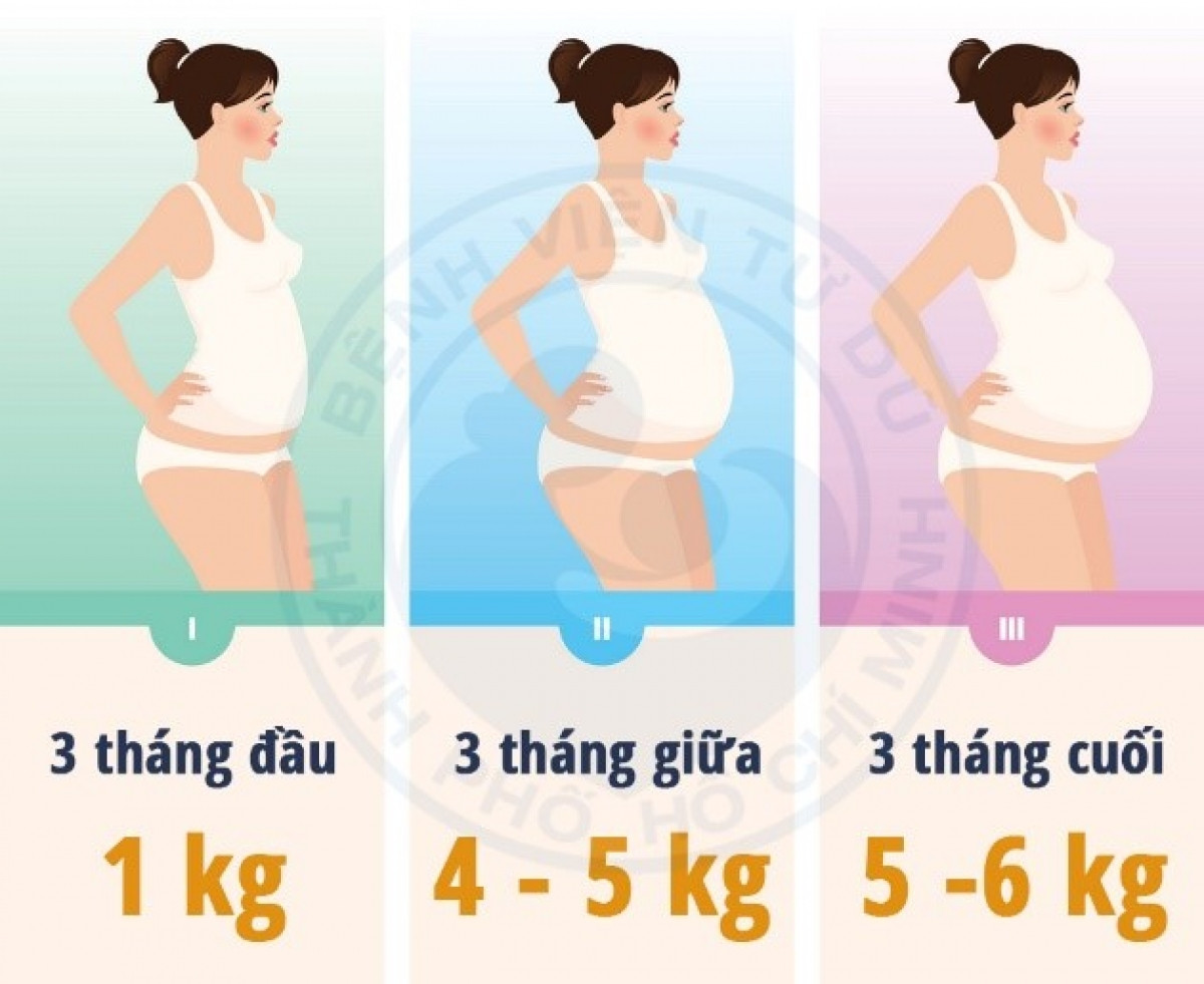 Với tình trạng dinh dưỡng bình thường (BMI: 18,5 – 24,9) mức tăng cân của người mẹ trong thai kỳ nên đạt là 10 – 12 kg