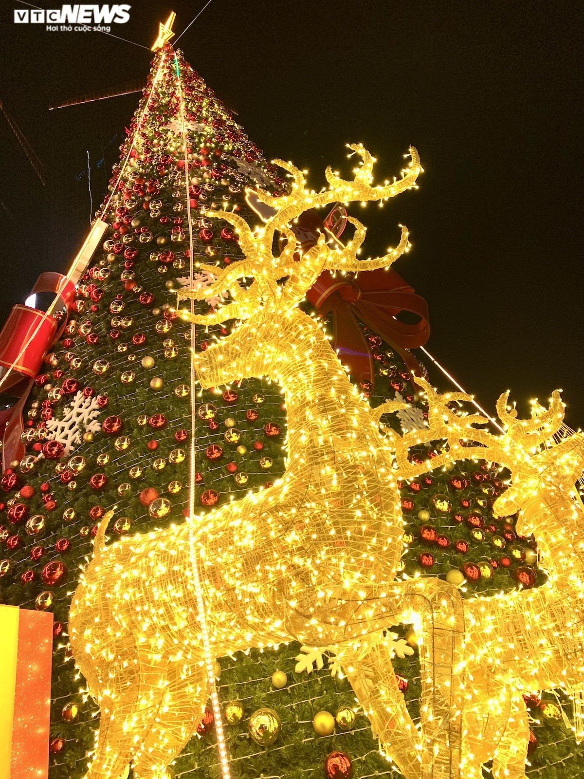 Trung tâm thương mại Hà Nội trang hoàng rực rỡ đón Giáng Sinh - 6