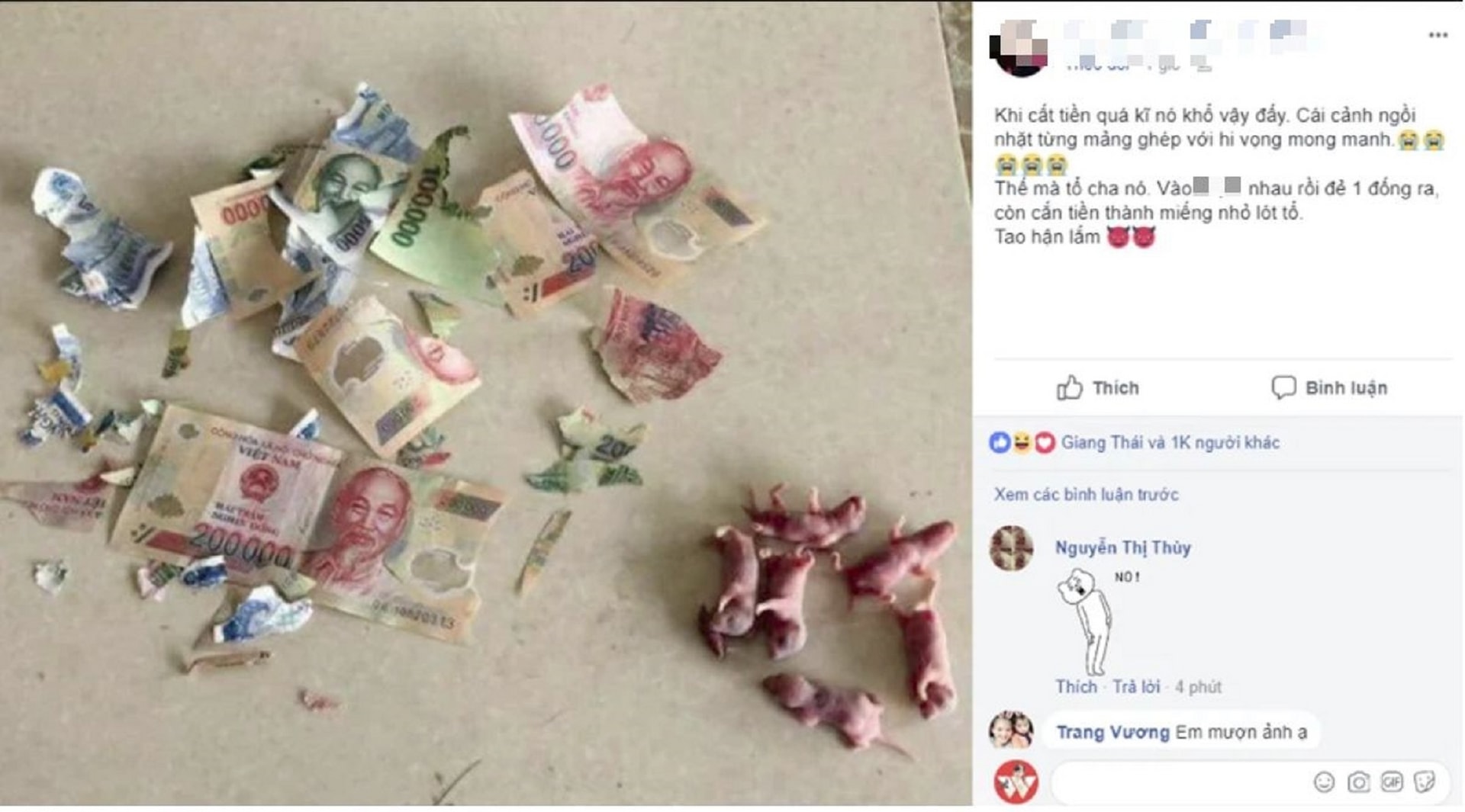 Cất tiền kỹ quá, cô gái khóc hận khi thấy hậu quả, phần ‘khuyến mãi’ nhìn mà tức - 1