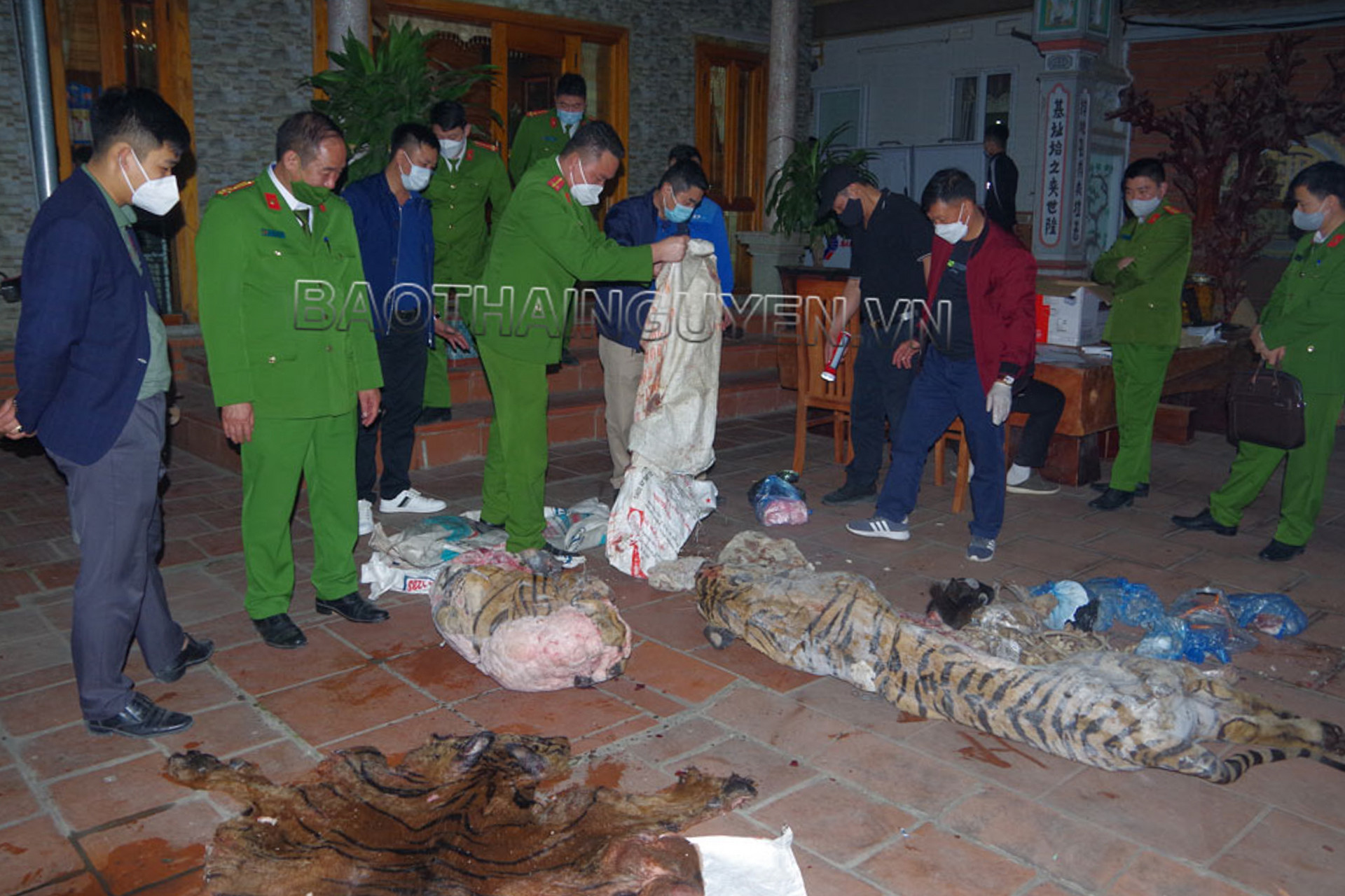 Thái Nguyên: Bắt chủ tịch xã giết hổ nấu cao - 1