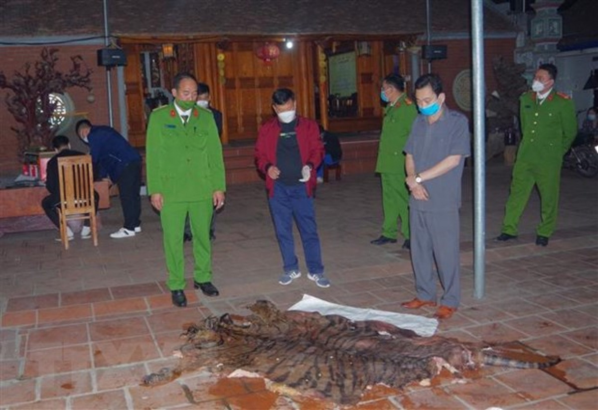 Tang vật dùng để nấu cao hổ được Cơ quan Công an phát hiện tại nhà ông Ngô Văn Quân.