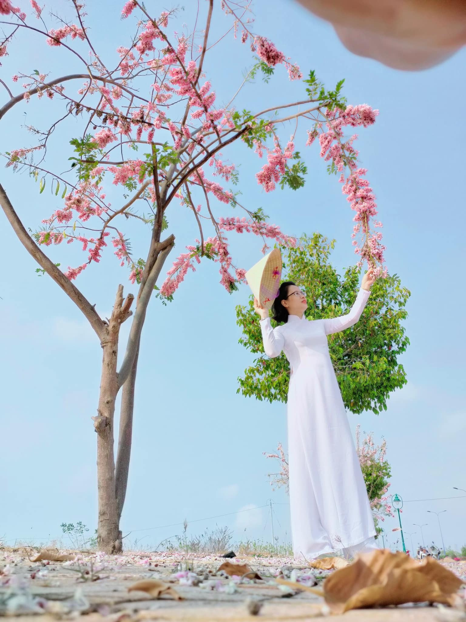 Mùa hoa: Hoa đỗ mai nở rộ đẹp không kém hoa đào, nơi check-in lại sát Sài Gòn - 12