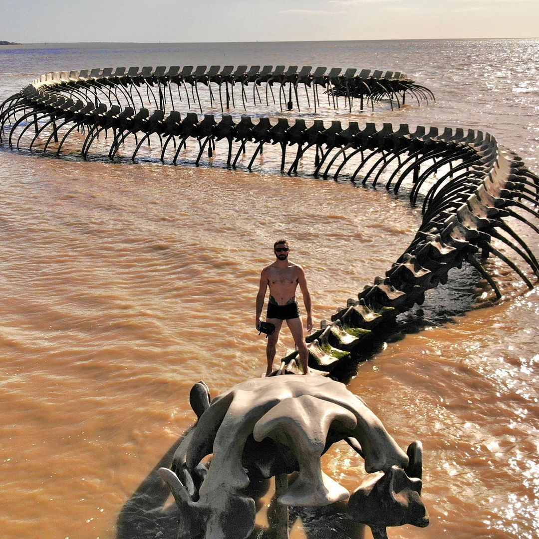 ‘Bộ xương rắn khổng lồ’ trồi lên giữa bờ biển thu hút du khách đến check-in  - 5