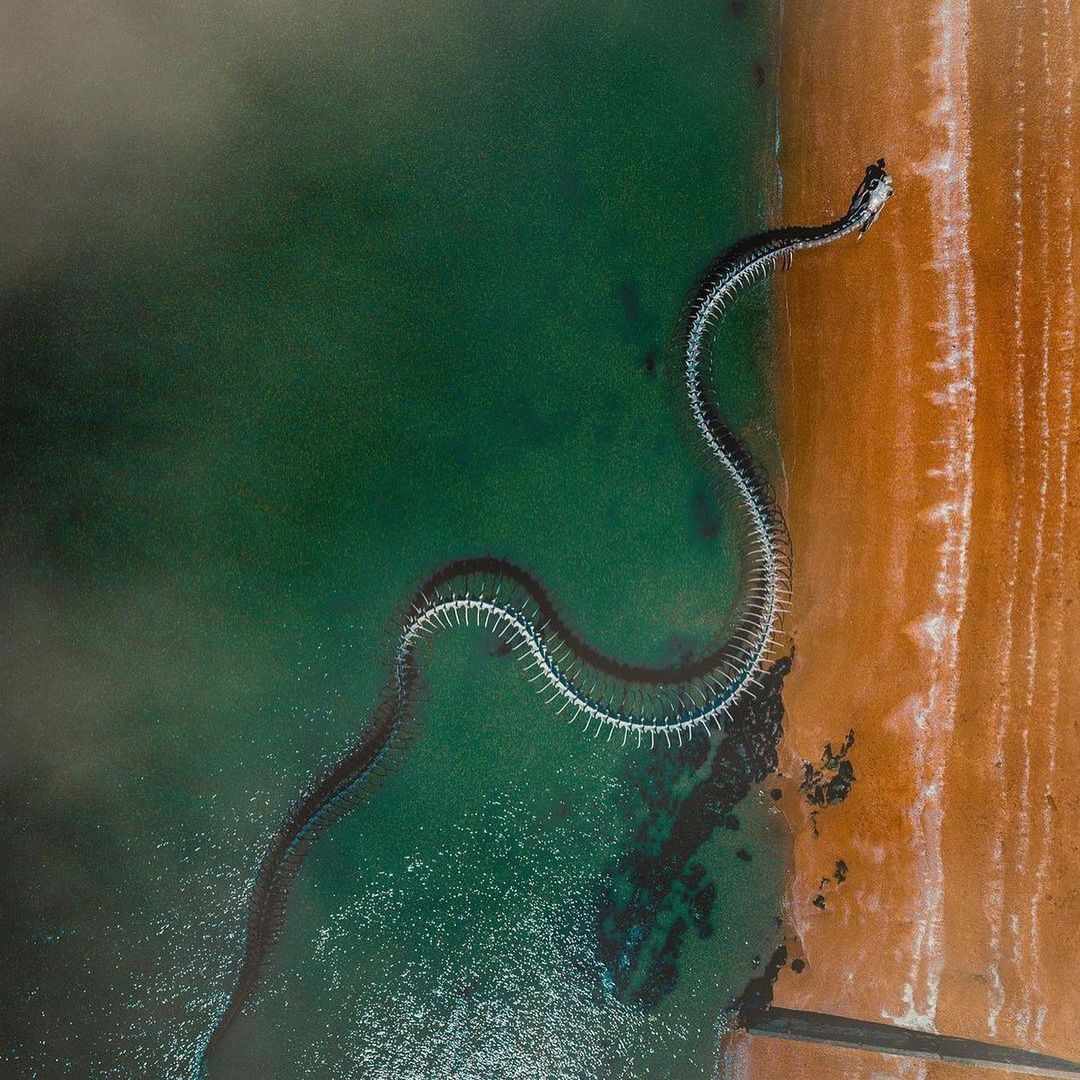 ‘Bộ xương rắn khổng lồ’ trồi lên giữa bờ biển thu hút du khách đến check-in  - 8