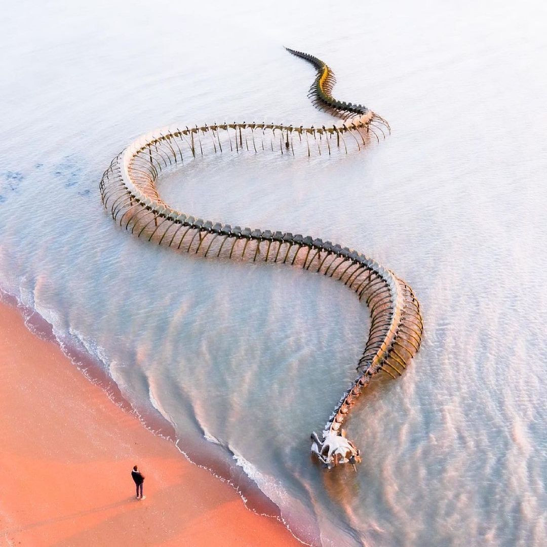 ‘Bộ xương rắn khổng lồ’ trồi lên giữa bờ biển thu hút du khách đến check-in  - 1