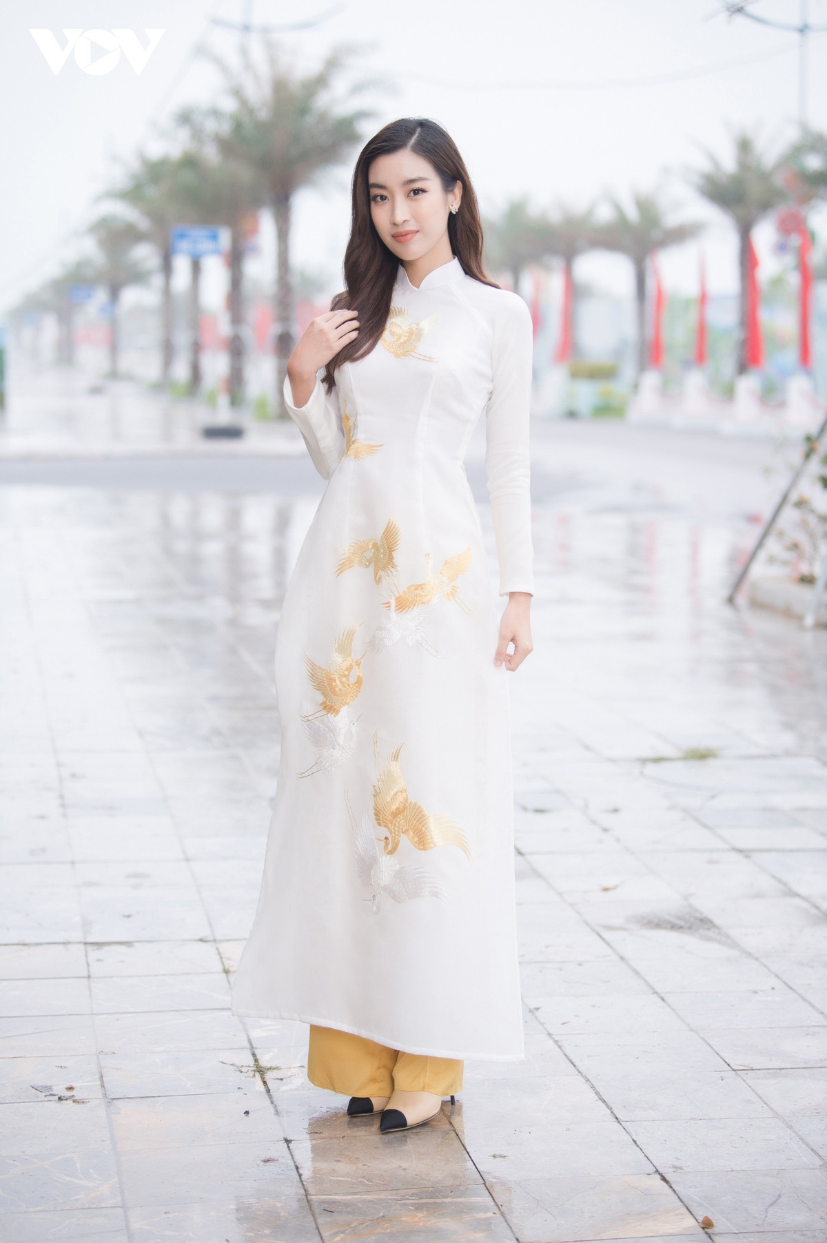 Các mỹ nhân Việt khoe sắc với áo dài của Hoa hậu Ngọc Hân - 11