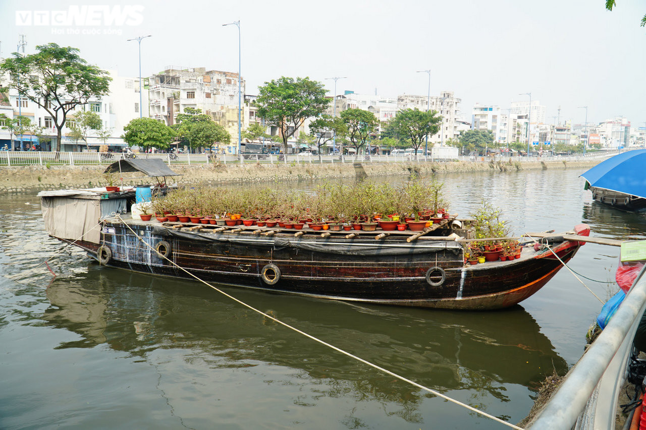 Ảnh: Chợ hoa 'Trên bến dưới thuyền' ở TP.HCM nhộn nhịp ngày giáp Tết - 10