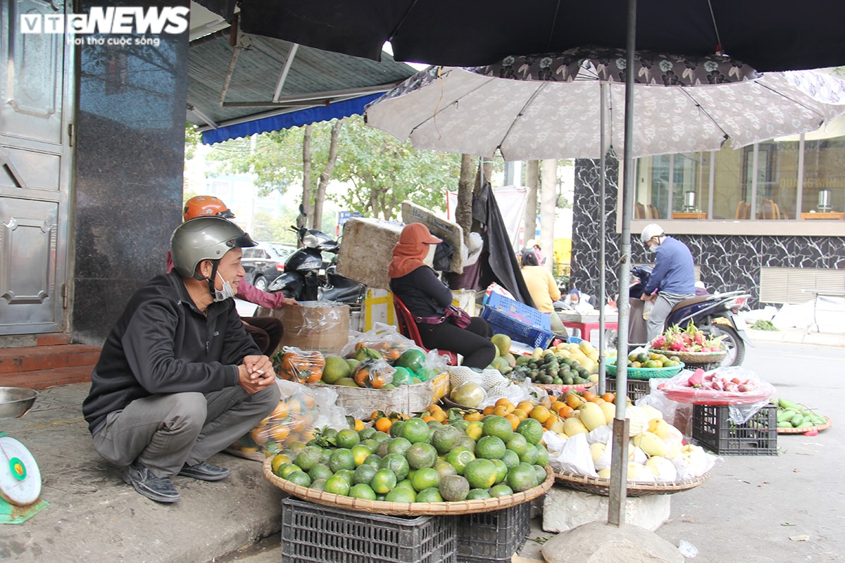 Đắt hàng mùa dịch, giá cam quýt 'nhảy múa'  - 2