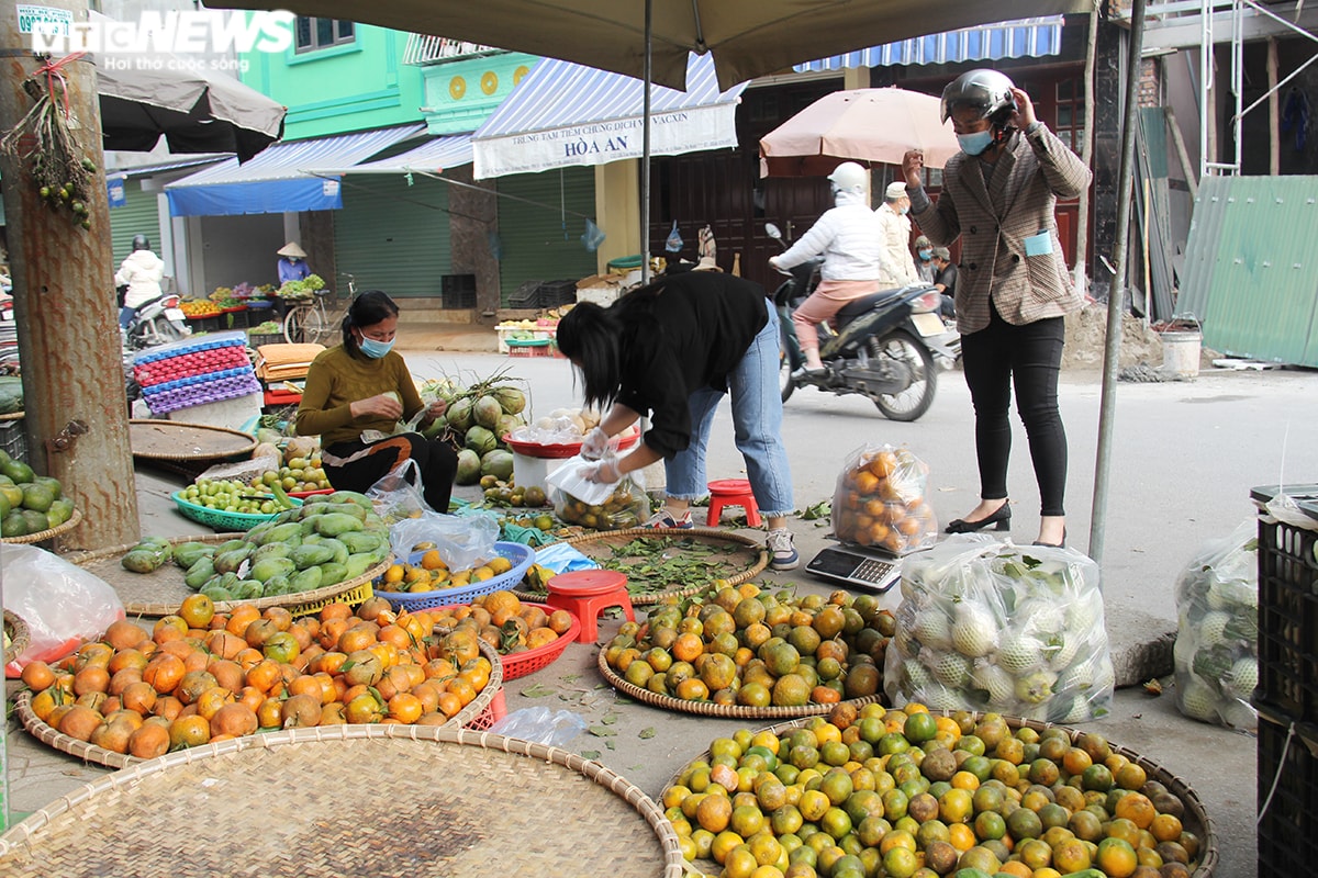 Đắt hàng mùa dịch, giá cam quýt 'nhảy múa'  - 1