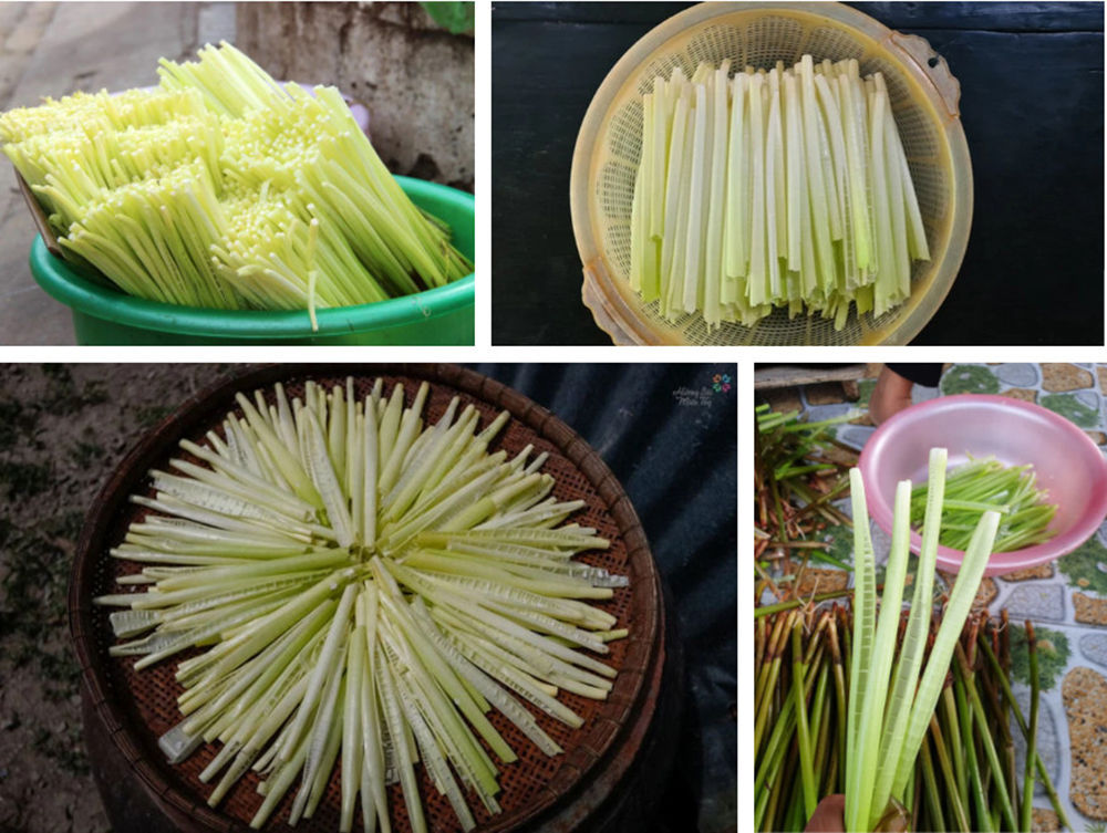 Rau choại, năn bộp và 3 loại rau lạ, ăn một lần nhớ mãi của miền Tây - 2
