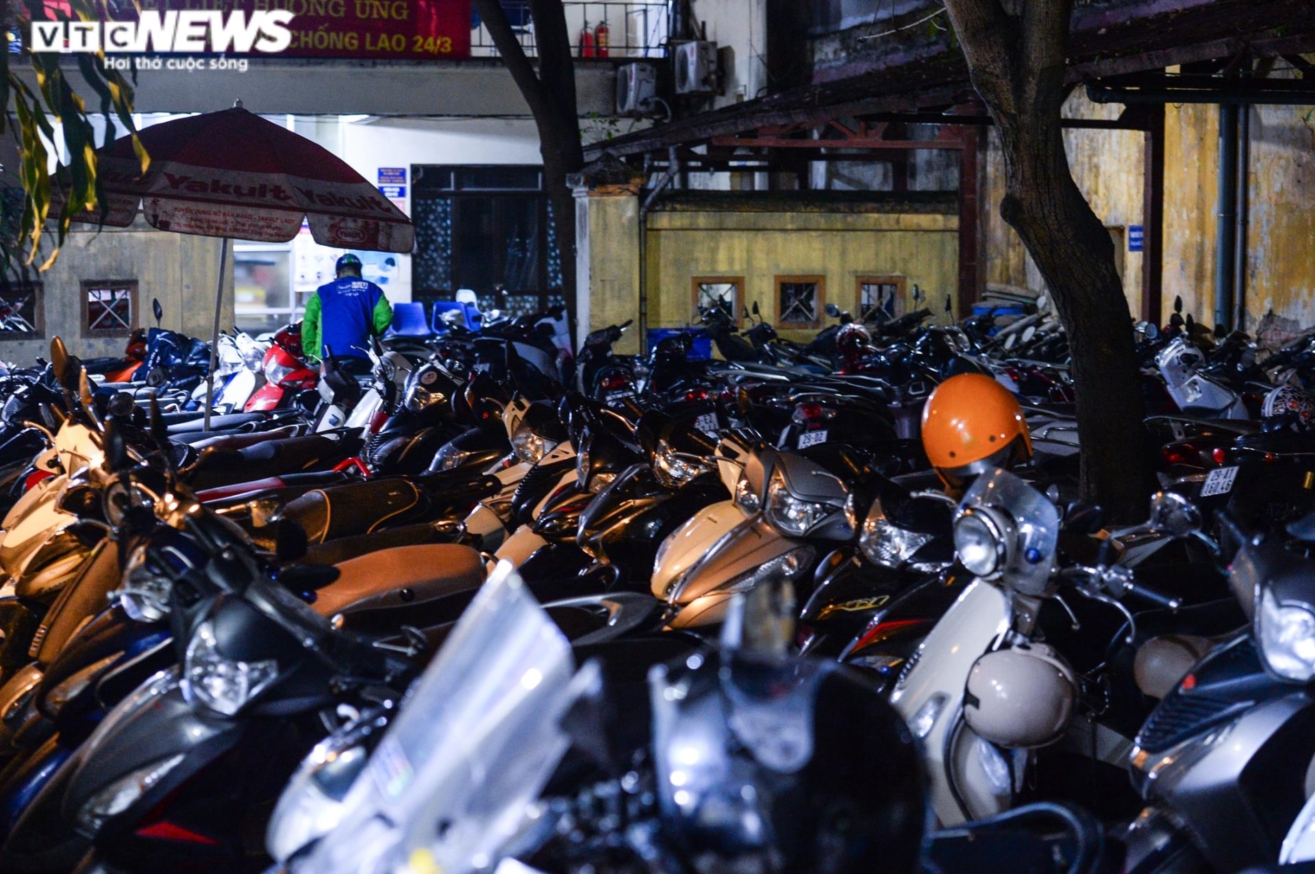 Tây, ta cùng chen chúc ở phố bia Tạ Hiện - 13