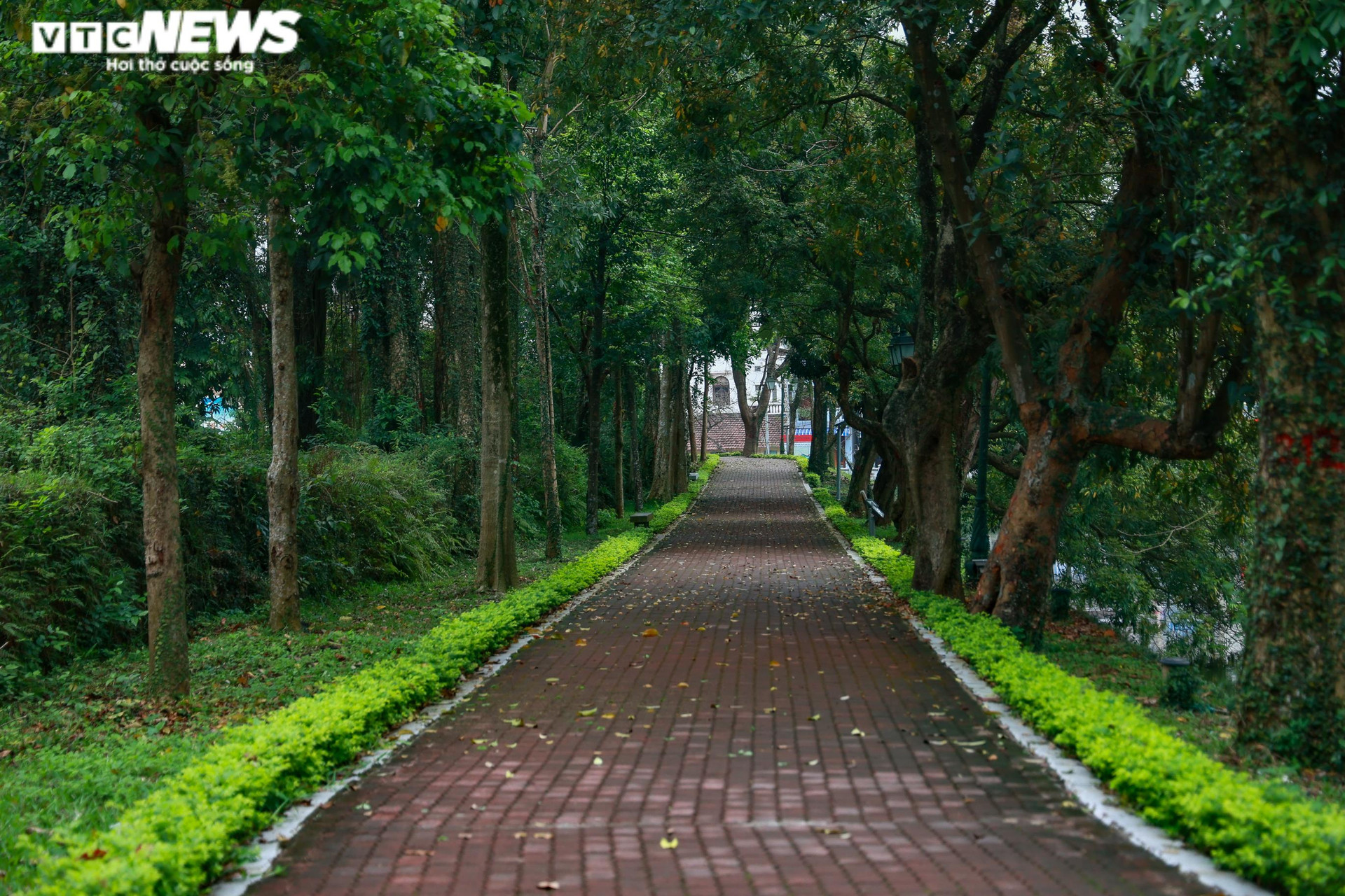 Ngắm tuyến phố đi bộ thứ 4 ở Hà Nội quanh Thành cổ Sơn Tây  - 7