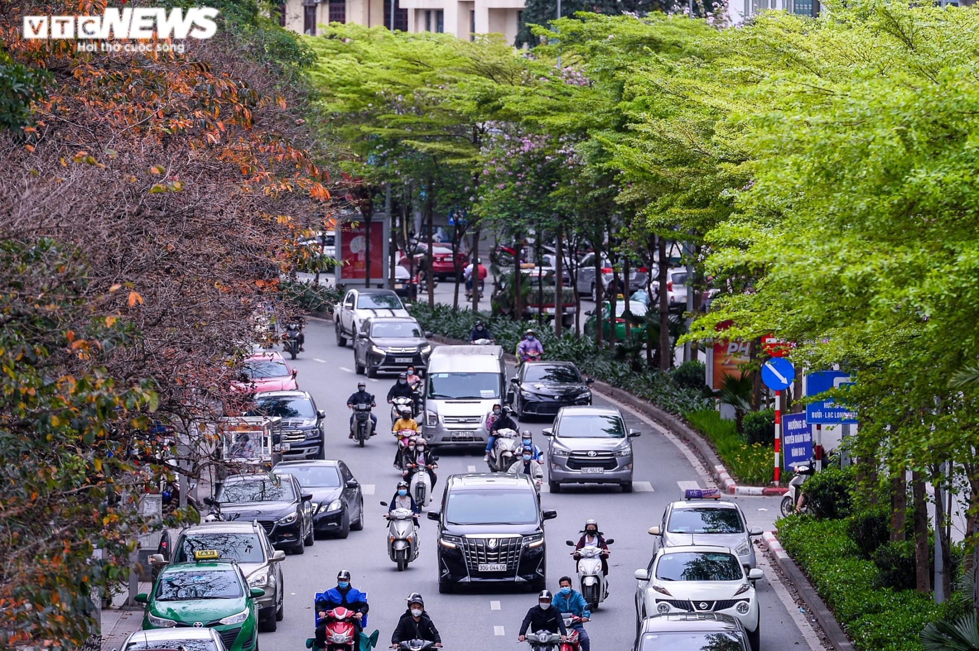 Bàng lá nhỏ thay sắc, phố Hà Nội đẹp nao lòng trong tiết giao mùa tháng 3 - 4