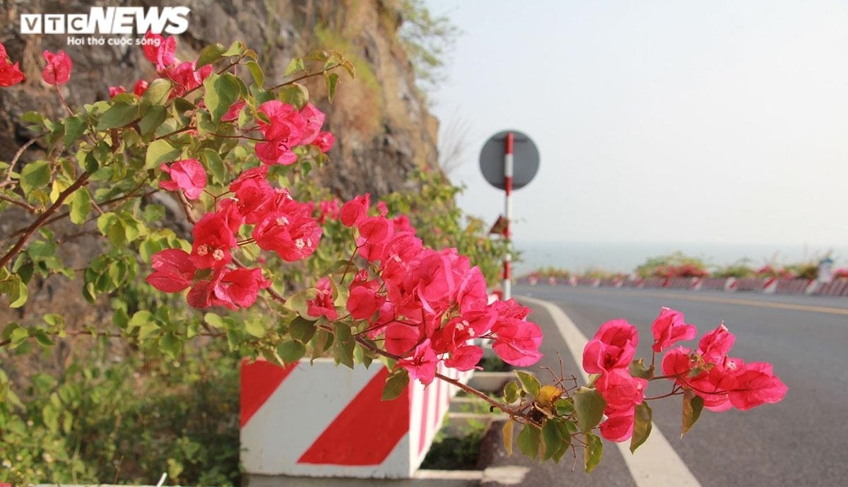 Phía ta luy dương được trồng hoa trên các bồn cảnh bằng bê tông cao 40cm, rộng 60cm, dài 1,5m, có gối kê được đặt phía trên rãnh thoát nước.