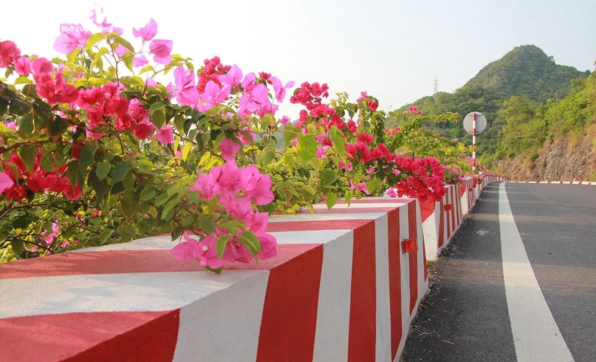 Dự án trồng hoa dọc tuyến đường xuyên đảo Cát Bà nhằm tạo điểm nhấn về cảnh quan, điểm dừng chân cho du khách tới tham quan du lịch đảo Cát Bà; phủ xanh các vách núi do phá đá mở rộng tuyến đường tỉnh lộ 356; thu hút khách du lịch, góp phần vào sự phát triển về du lịch - dịch vụ, kinh tế - xã hội của địa phương.