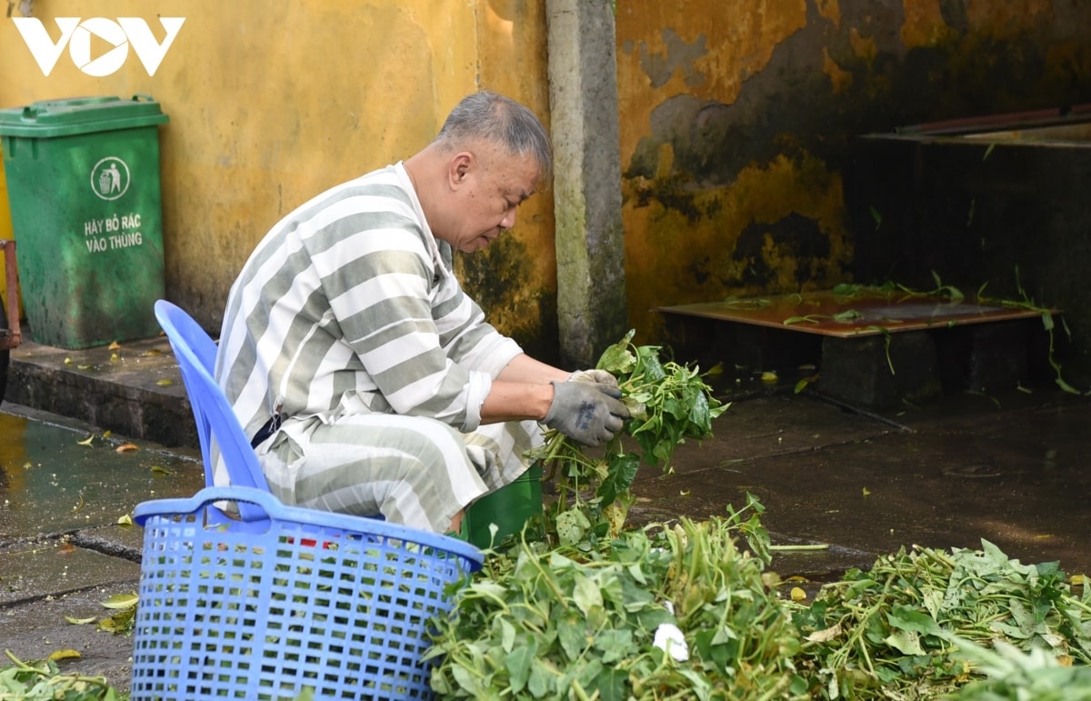 Một phạm nhân là cựu giảng viên một trường đại học đang nhặt rau.