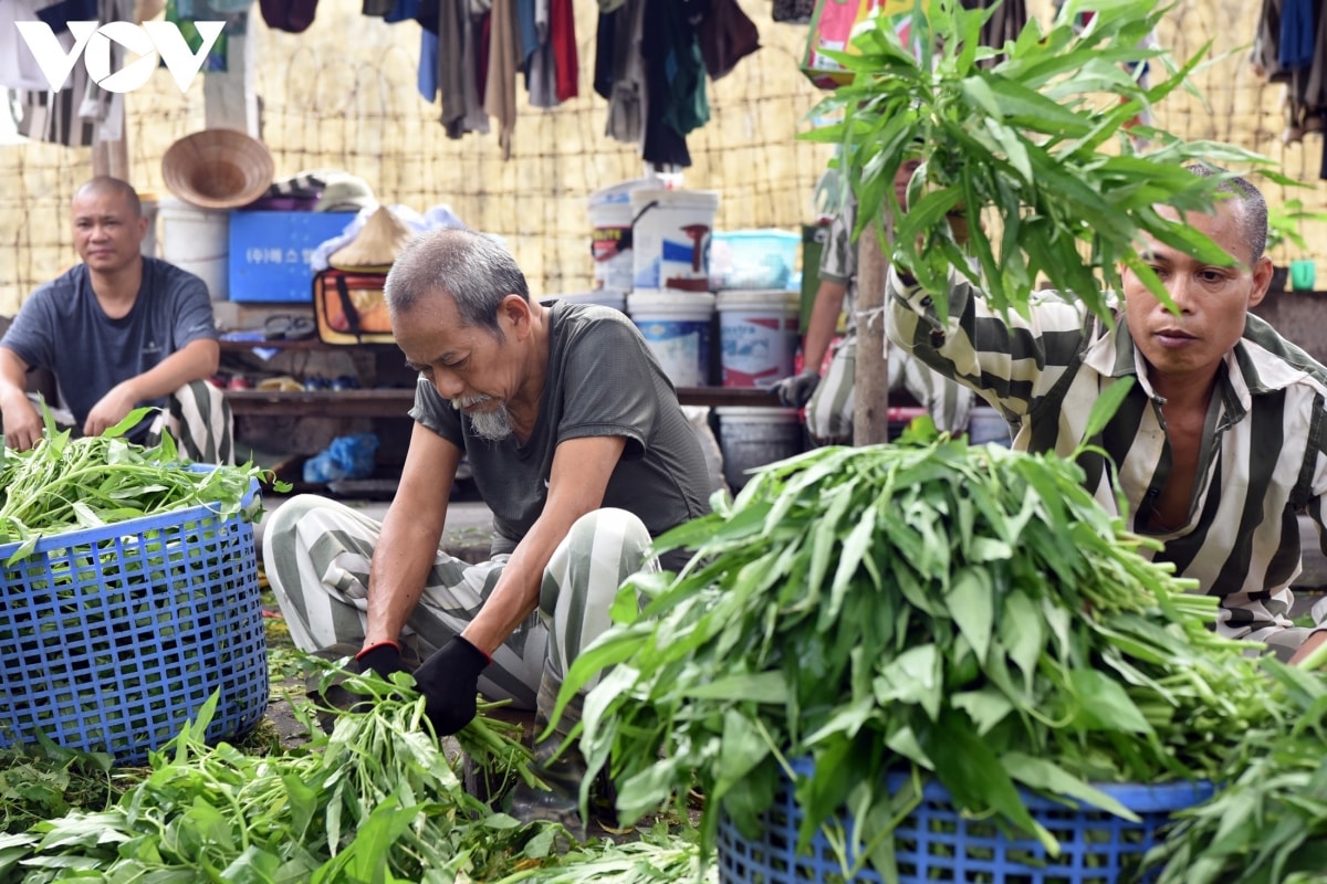Các phạm nhân cao tuổi, sức khỏe yếu được bố trí 