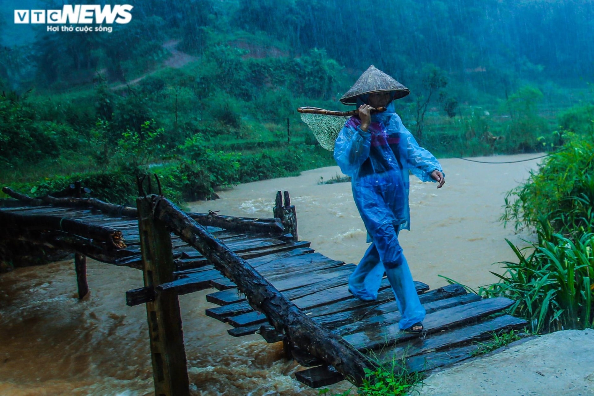 Ảnh: Vẻ đẹp bình dị của con người Việt Nam trên khắp mọi miền Tổ quốc - 12