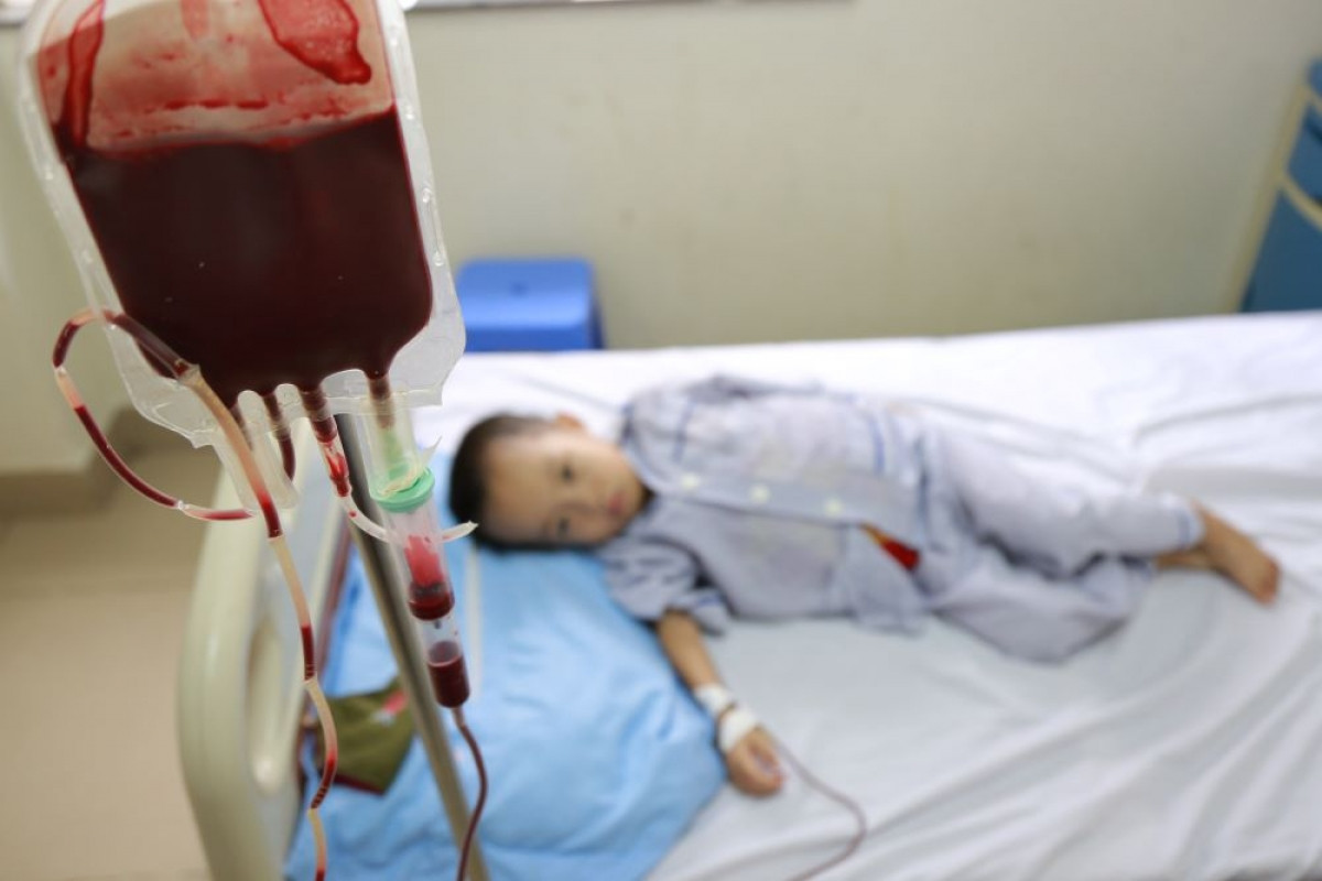 Người bệnh Thalassemia phải định kỳ truyền máu (khối hồng cầu), thải sắt và điều trị biến chứng tại các bệnh viện.