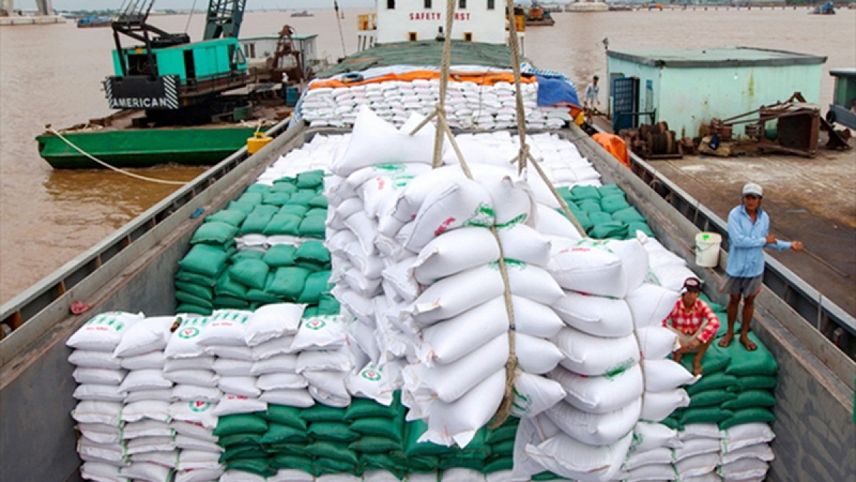 Mục tiêu xuất khẩu gạo của Việt Nam cũng đã được điều chỉnh, đến năm 2030 dự kiến chỉ còn khoảng 4 triệu tấn.
Ảnh minh họa: Báo Nhân dân
