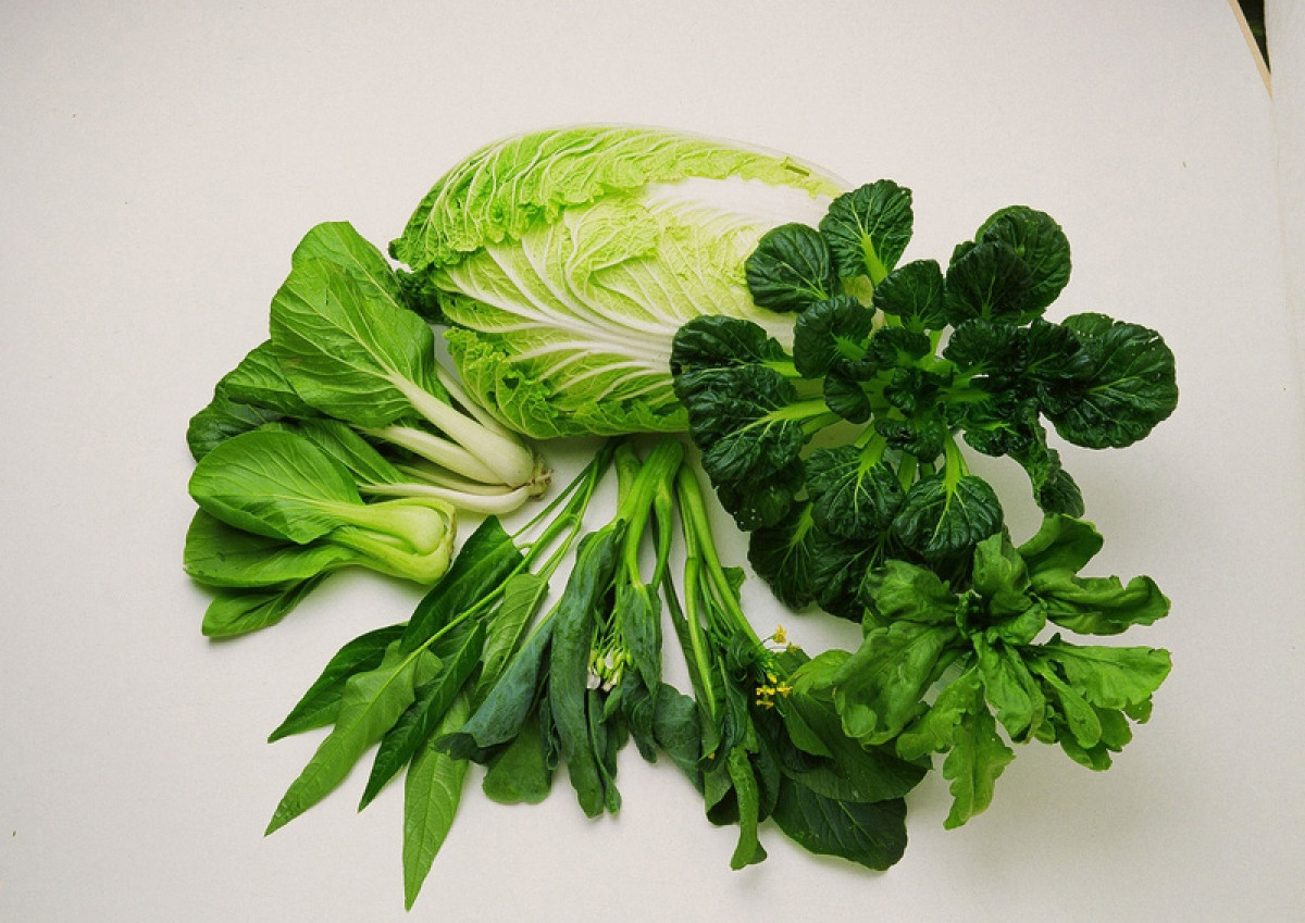 Bổ sung các loại rau xanh tươi vào chế độ ăn hằng giúp giảm nguy cơ mắc bệnh tim, đột quỵ và một số bệnh ung thư.