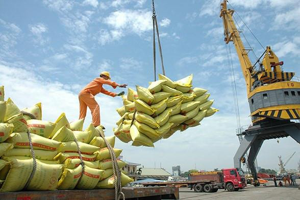 Xuất khẩu gạo Việt Nam vượt mốc 1 tỷ USD, giá bán áp đảo gạo Thái - 1