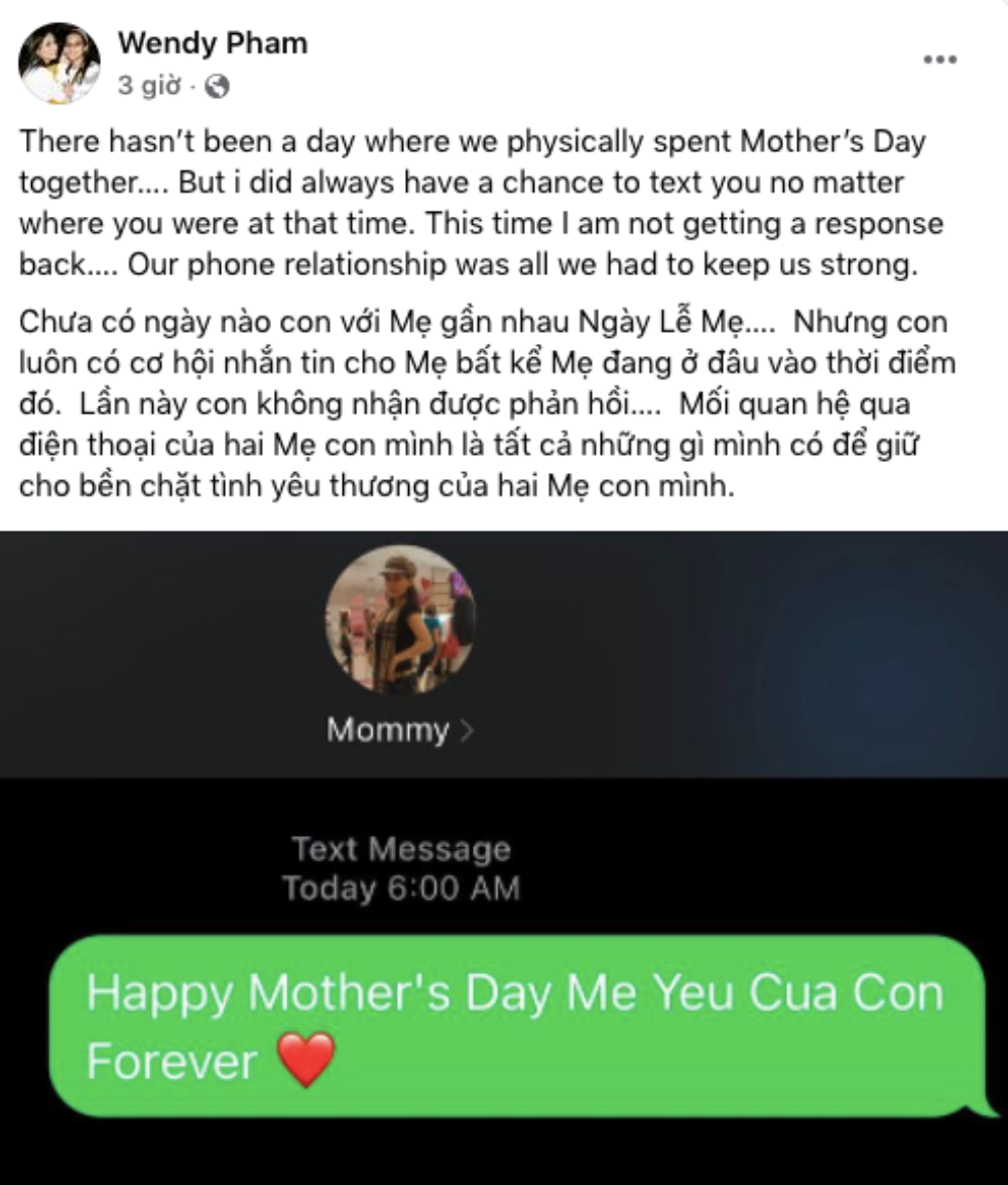 Xúc động dòng tin nhắn của con gái Phi Nhung trong Ngày của Mẹ - 1