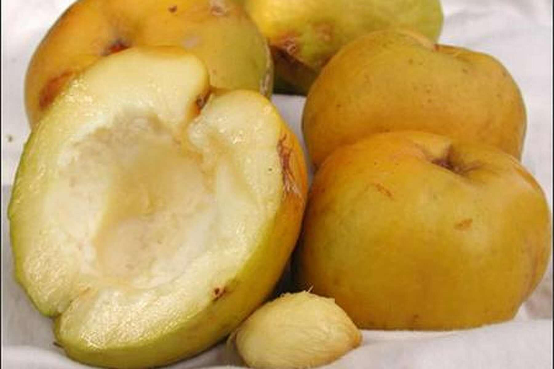 Loại trái cây độc đáo có vị béo ngọt như bánh kem, giá vài trăm nghìn đồng/quả - 4