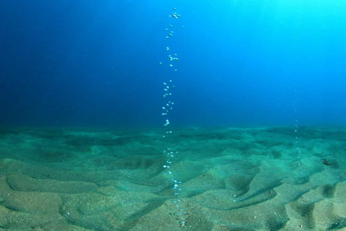 Nước dưới đáy đại dương vô cùng nóng: Trong khi nhiều nơi sâu nhất dưới đại dương, nhiệt độ chỉ khoảng 2 - 4 độ C thì nước ở những miệng phun thủy nhiệt dưới đáy biển, nhiệt độ có thể lên tới 400 độ C. Điều khiến cho nước không sôi ở đây được cho là do áp suất quá lớn tại những điểm sâu này.