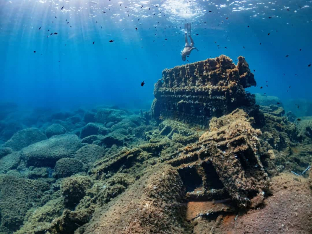Có khoảng 3 triệu xác tàu dưới đại dương. Do đó dưới đại dương thậm chí có nhiều cổ vật hơn tất cả bảo tàng trên thế giới gộp lại.