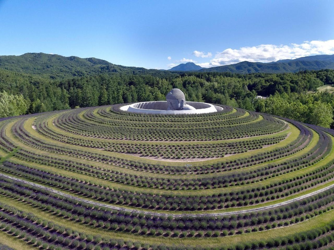 Cận cảnh vẻ đẹp như phim viễn tưởng bên trong nghĩa trang độc đáo ở Nhật Bản - 11