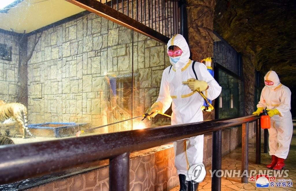 Triều Tiên ghi nhận thêm gần 220.000 ca sốt và một người tử vong - 1