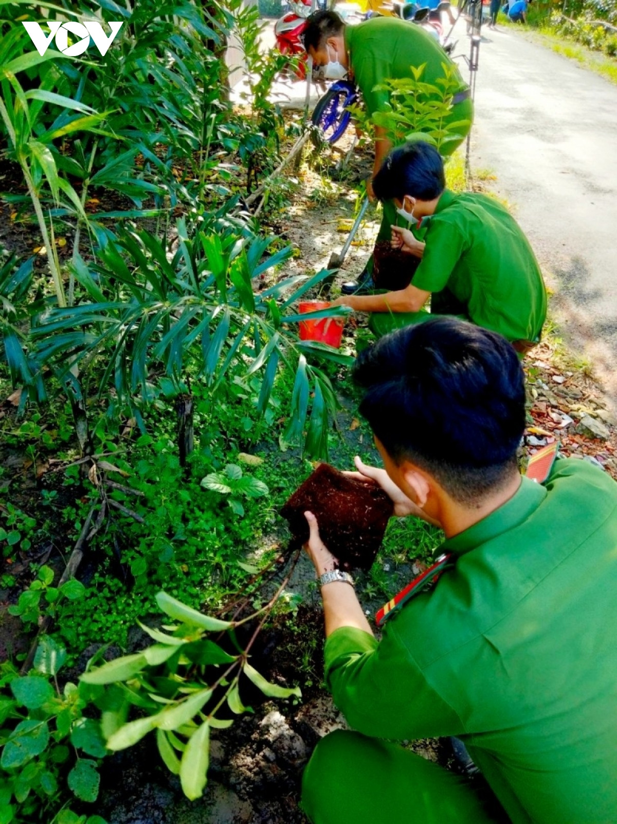 hau giang to chuc nhieu hoat dong huong ung ngay moi truong the gioi hinh anh 1