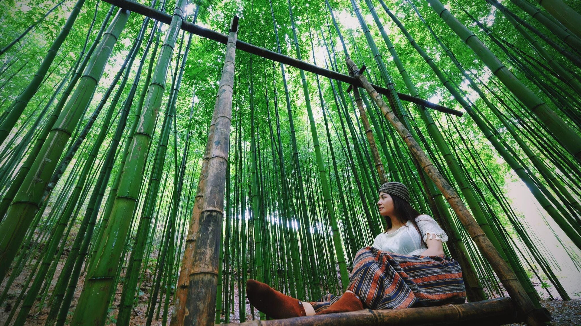 Phát hiện rừng trúc kỳ vĩ đẹp hơn cả cảnh phim kiếm hiệp ngay tại Việt Nam - 11