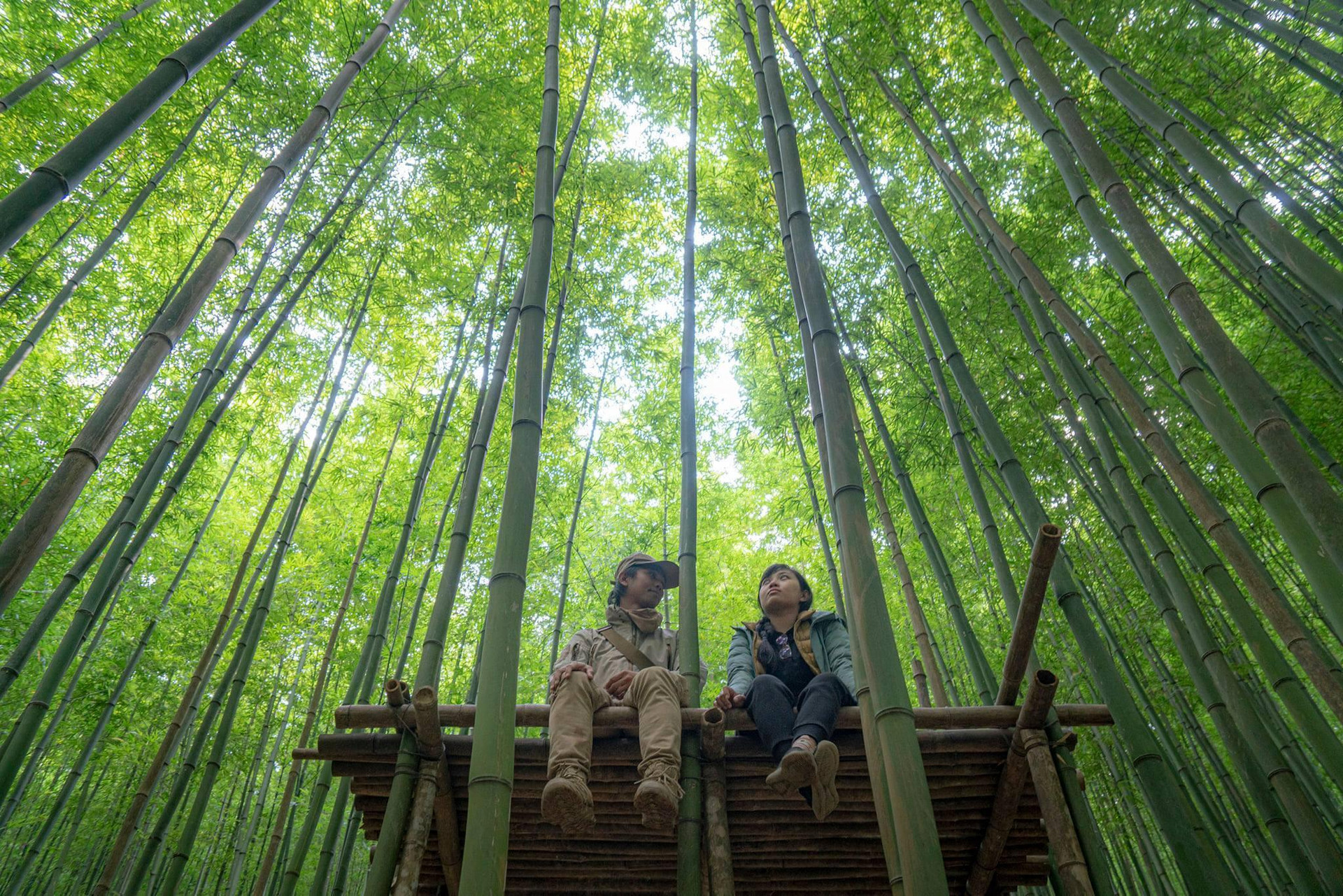 Phát hiện rừng trúc kỳ vĩ đẹp hơn cả cảnh phim kiếm hiệp ngay tại Việt Nam - 7