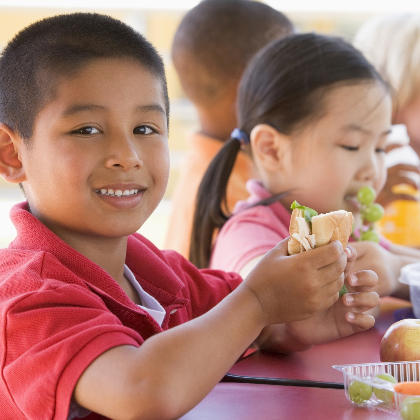 Suy dinh dưỡng vẫn là một thách thức lớn đối với trẻ em Đông Nam Á - 3