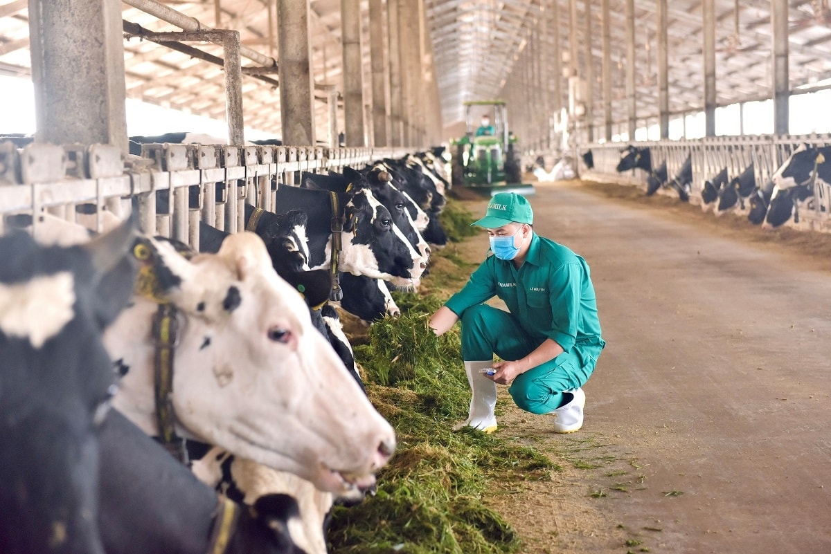 mo hinh vinamilk green farm duoc chia se tai hoi nghi sua toan cau hinh anh 6