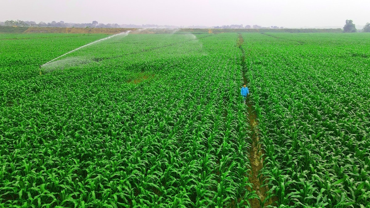 mo hinh vinamilk green farm duoc chia se tai hoi nghi sua toan cau hinh anh 7