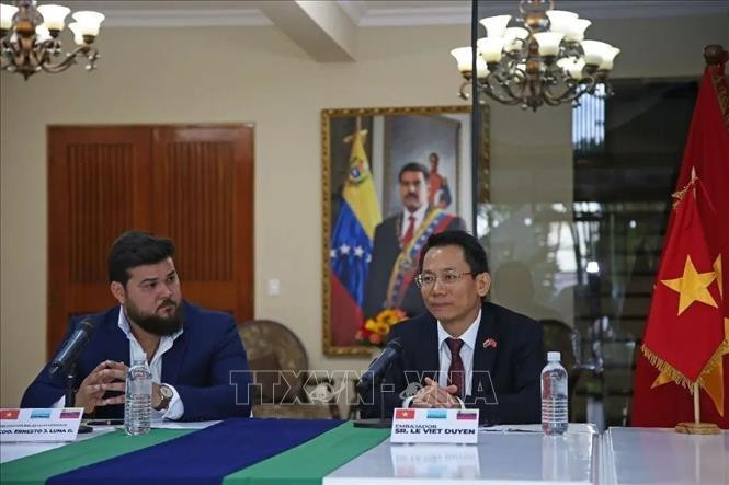 Việt Nam thúc đẩy hợp tác với các địa phương của Venezuela - ảnh 1