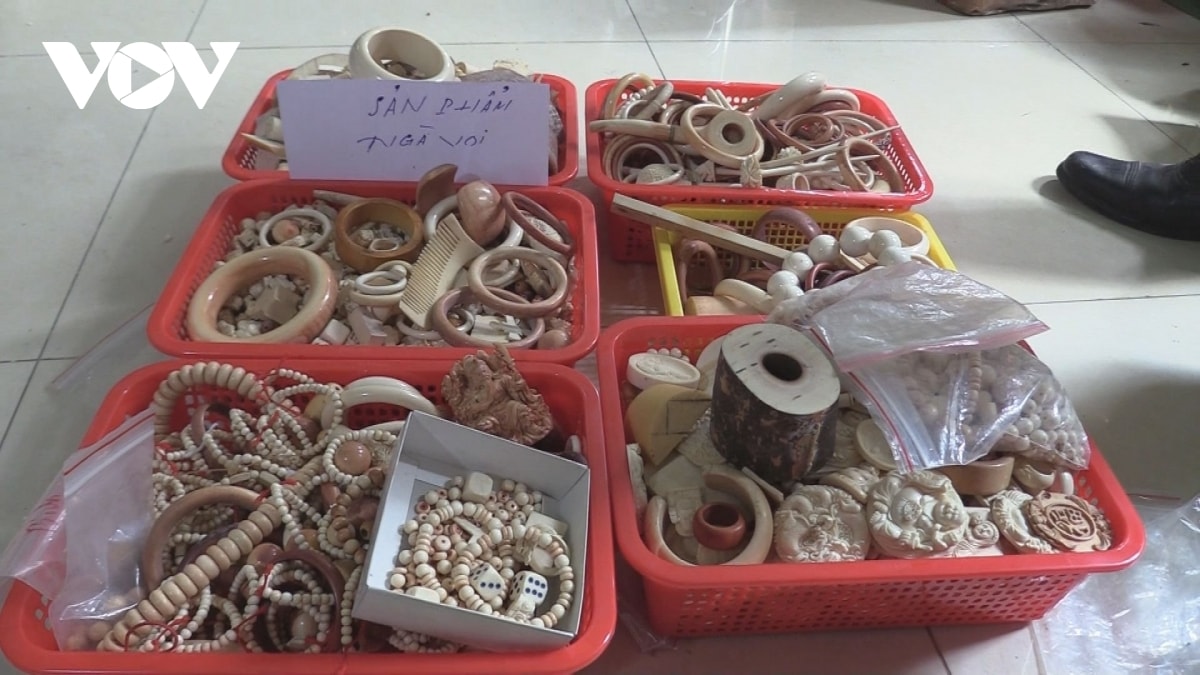 bán ngà voi, sừng tê giác khiến hình ảnh du lịch việt nam xấu xí hình ảnh 1 ban nga voi, sung te giac khien hinh anh du lich viet nam xau xi hinh anh 1