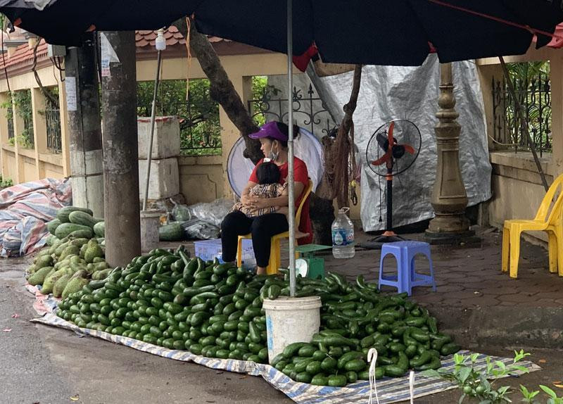 Loại quả siêu thực phẩm tràn chợ Hà Nội, giá siêu rẻ vẫn ế - 1