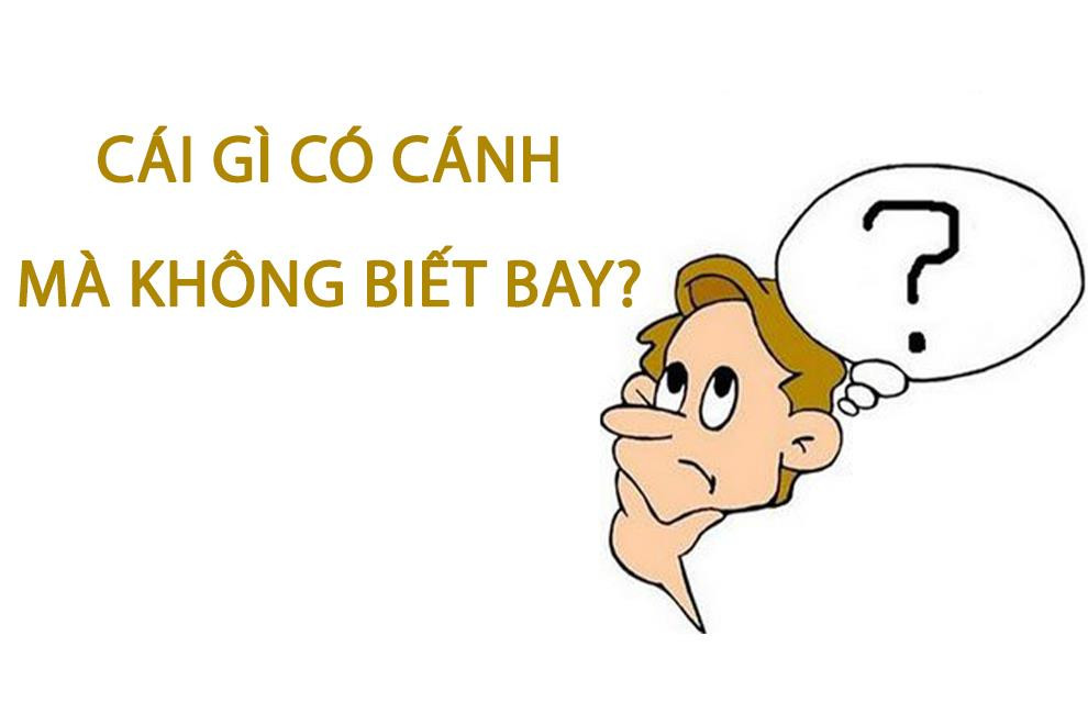 Cái gì có cánh mà không biết bay?  - 1