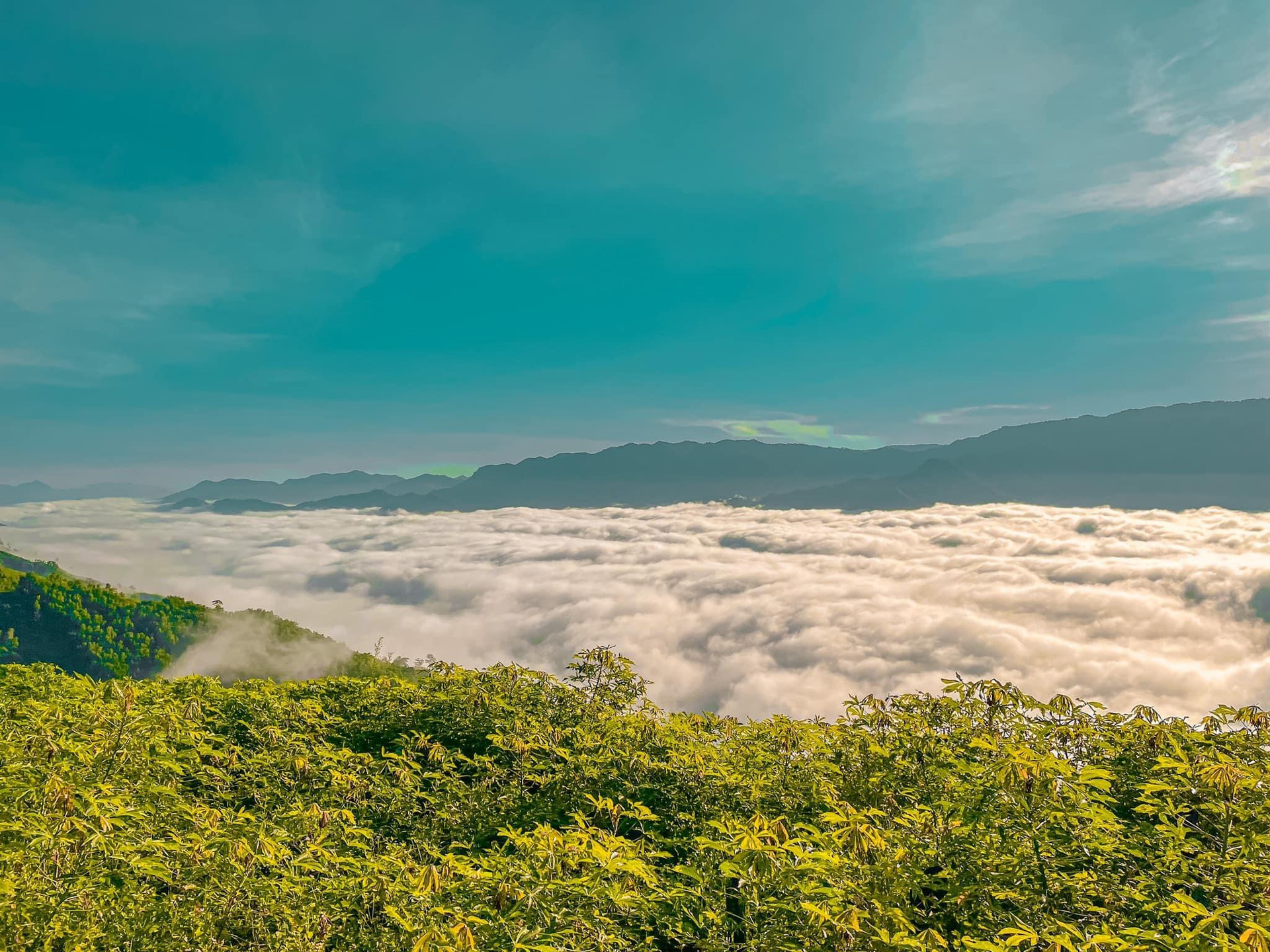 Phát hiện cung đường đèo phủ biển mây cực đỉnh nằm giữa Quảng Ngãi - Kon Tum - 7
