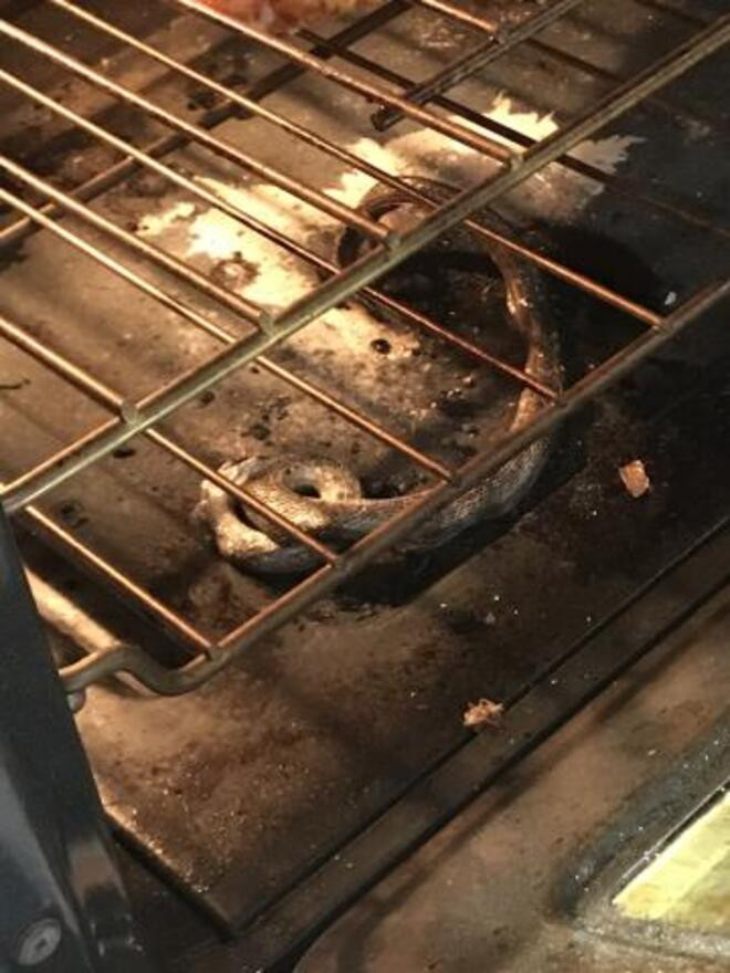 Đang nướng bánh thì lò bốc khói khét lẹt, chủ nhà ám ảnh khi thấy cảnh bên trong - 2