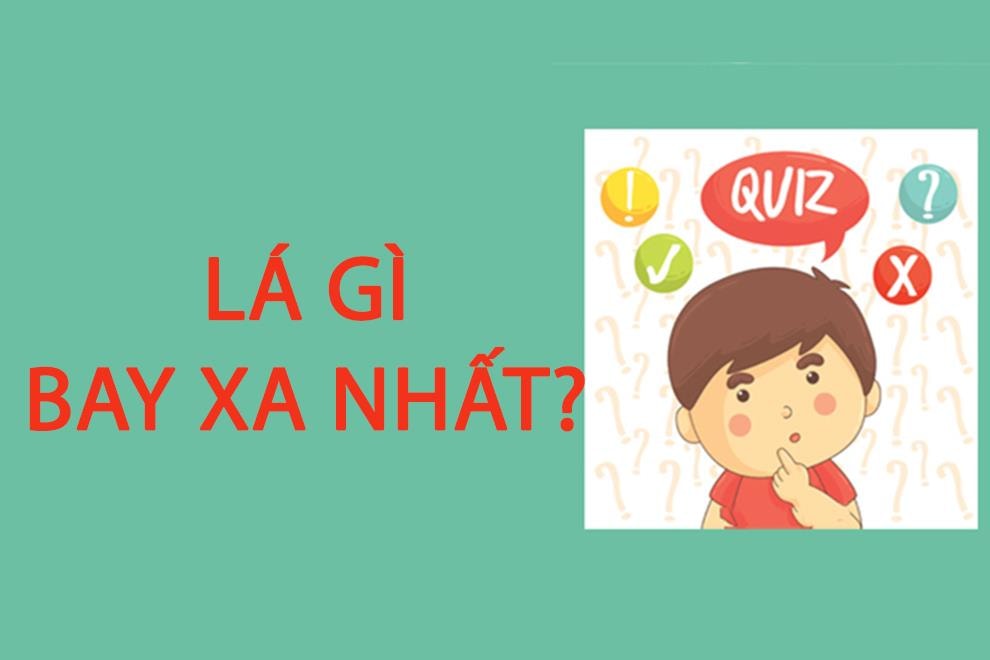 Đố vui: Lá gì bay xa nhất?  - 1
