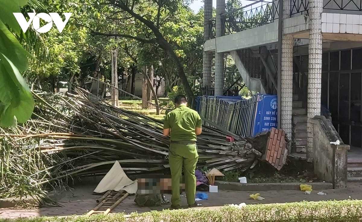 cây đổ đè chết người trong công viên tại tp vinh hình ảnh 1 cay do de chet nguoi trong cong vien tai tp vinh hinh anh 1